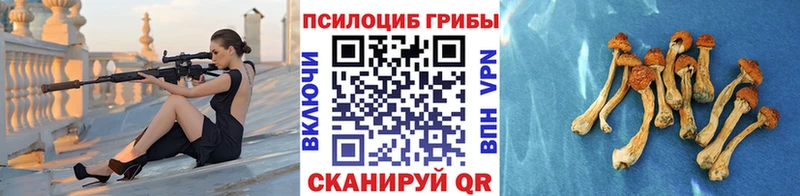 Галлюциногенные грибы Cubensis закладки Тулун