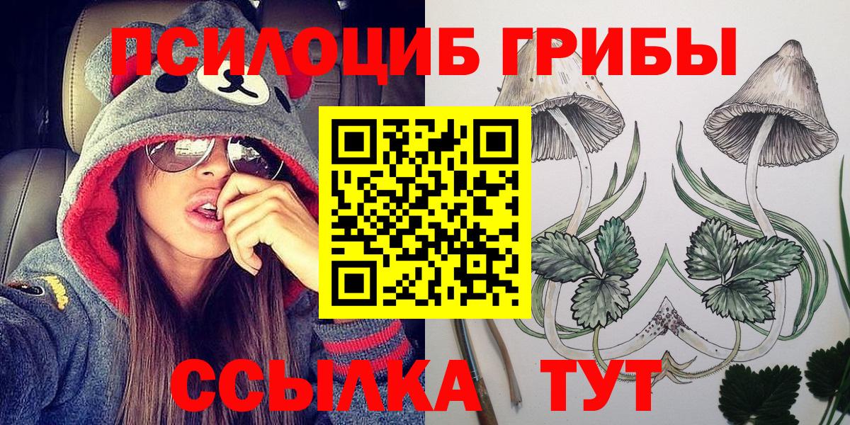 Галлюциногенные грибы Magic Shrooms  Вход с VPN  хочу наркоту  Тулун  Псилоцибиновые грибы прущие грибы 